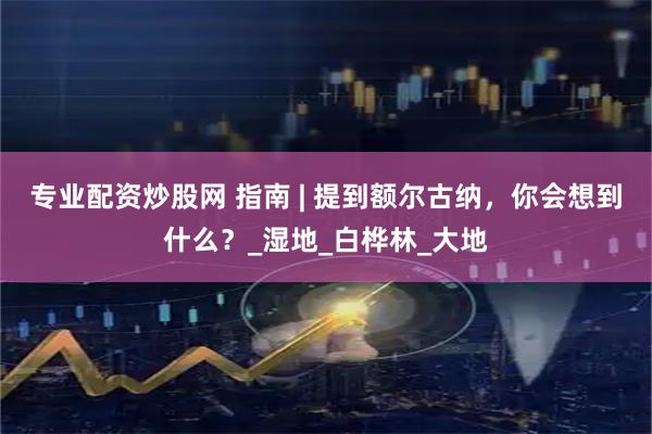 专业配资炒股网 指南 | 提到额尔古纳，你会想到什么？_湿地_白桦林_大地